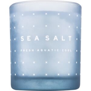 DW Home Sea Salt vonná svíčka 371,3 g