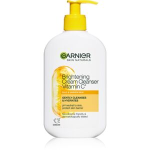 Garnier Skin Naturals Vitamin C čisticí krém s vitaminem C 250 ml