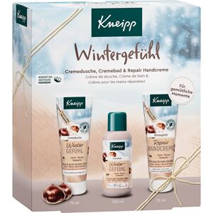 Kneipp Winter Feeling dárková sada (na ruce a tělo)