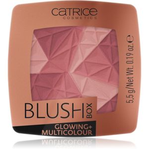 Catrice Blush Box Glowing + Multicolour rozjasňující tvářenka odstín 020 It's Wine O'clock 5.5 g