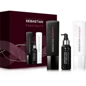 Sebastian Professional Penetraitt dárková sada (pro poškozené, chemicky ošetřené vlasy)