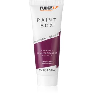 Fudge Paintbox semi-permanentní barva na vlasy na vlasy odstín Raspberry Beret 75 ml
