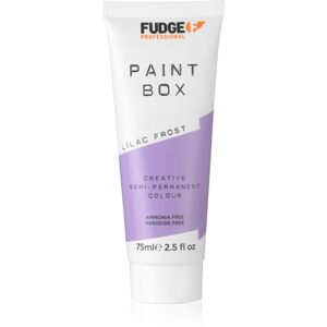 Fudge Paintbox semi-permanentní barva na vlasy na vlasy odstín Lilac Frost 75 ml
