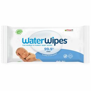 Water Wipes Baby Wipes dětské jemné vlhčené ubrousky 60 ks