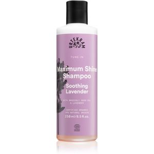 Urtekram Soothing Lavender zklidňující šampon pro lesk a hebkost vlasů 250 ml