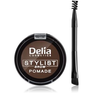 Delia Cosmetics Eyebrow Expert pomáda na obočí odstín Dark Brown 4 g