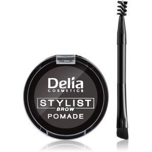 Delia Cosmetics Eyebrow Expert pomáda na obočí odstín Graphite 4 g