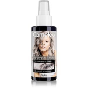 Delia Cosmetics Cameleo Instant Color tónovací barva na vlasy ve spreji odstín Control Your Silver 150 ml