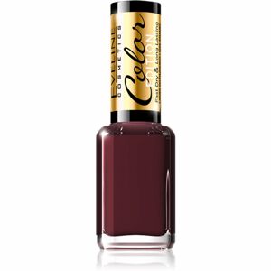 Eveline Cosmetics Color Edition vysoce krycí lak na nehty odstín 129 12 ml