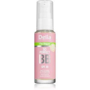 Delia Cosmetics BB So Perfect matující BB krém s hydratačním účinkem odstín 01 Light 30 ml