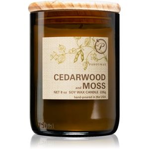 Paddywax Eco Green Cedarwood & Moss vonná svíčka 226 g