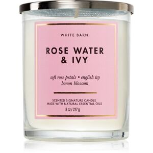 Bath & Body Works Rose Water & Ivy vonná svíčka 227 g