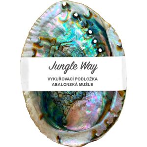Jungle Way Abalone Shell vykuřovací podložka 1 ks