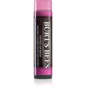 Burt’s Bees Tinted Lip Balm balzám na rty odstín Sweet Violet 4.25 g