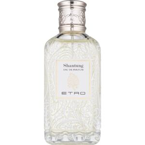 Etro Shantung parfémovaná voda unisex 100 ml