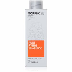 Framesi Morphosis Purifying čisticí šampon proti lupům 250 ml
