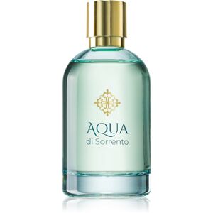 Aqua di Sorrento Posillipo parfémovaná voda unisex 100 ml