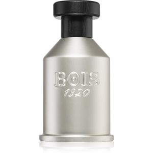 Bois 1920 Dolce di Giorno parfémovaná voda unisex 100 ml