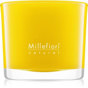 Millefiori Natural Pompelmo vonná svíčka 180 g