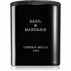 Cereria Mollá Boutique Basil & Mandarin vonná svíčka 230 g