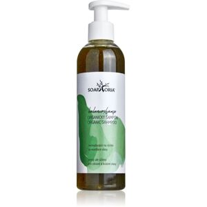 Soaphoria Hair Care tekutý organický šampon na mastné vlasy 250 ml