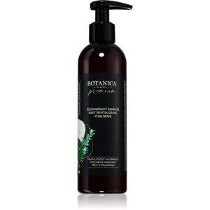 Soaphoria Botanica Slavica Rosemary intenzivní šampon pro růst vlasů a posílení od kořínků 250 ml