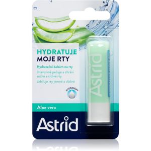 Astrid Lip Care hydratační balzám na rty s aloe vera 4.8 g