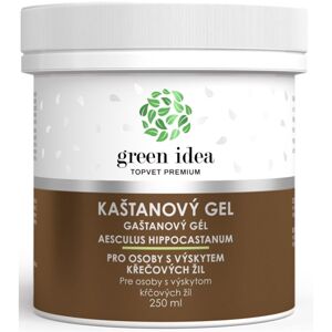 Green Idea Masážní gel Kaštanový masážní gel na žíly a cévy 250 ml