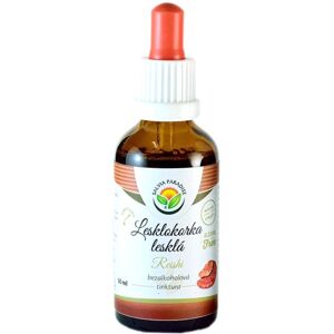 Salvia Paradise Lesklokorka lesklá bezalkoholová tinktura doplněk stravy pro podporu imunitního systému 50 ml