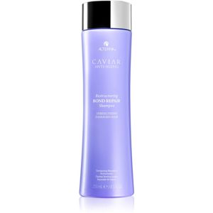 Alterna Caviar Anti-Aging Restructuring Bond Repair obnovující šampon pro slabé vlasy 250 ml