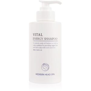 Dr. HEDISON Vital Energy šampon na vlasy a vlasovou pokožku 280 ml