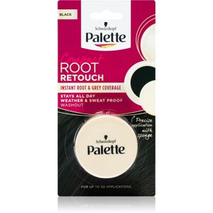 Schwarzkopf Palette Compact Root Retouch vlasový korektor odrostů a šedin s pudrovým efektem odstín Black 3 g