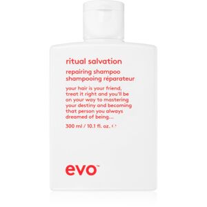 EVO The Therapist Hydrating Shampoo posilující šampon pro poškozené a barvené vlasy 300 ml