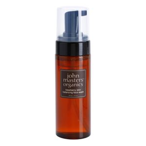 John Masters Organics Bearberry Skin Balancing Face Wash čisticí pěna vyrovnávající tvorbu kožního mazu 170 ml