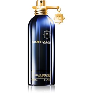 Montale Aoud Ambre parfémovaná voda unisex 100 ml