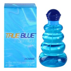 Perfumer’s Workshop True Blue Samba toaletní voda pro muže 100 ml