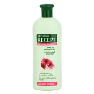 Subrina Professional Recept Intensive & Balancing šampon proti lupům pro normální až mastné vlasy Echinacea 400 ml